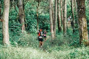 BIB: 
                            <button type="button" onclick="openModal(25236997)" class="btn btn-primary btn-sm float-right btn-popup" data-toggle="modal" data-target=".modal-high-quality">
                        <i class="fas fa-shopping-cart"></i> Add to Cart
                    </button>
                                            <button type="button" onclick="isThisMe(25236997, true)" class="btn btn-success btn-sm float-right btn-popup btn-isme hidden" data-toggle="tooltip" data-placement="bottom" title="นี่คือรูปของคุณใช่ไหม คลิกที่นี่เพื่อเอาเข้าอัลบั้ม">
                        <i class="fas fa-plus"></i> Add to album
                    </button>
                    <button type="button" onclick="isThisMe(25236997, false)" class="btn btn-warning btn-sm float-right btn-popup btn-isnotme hidden">
                        <i class="fas fa-ban"></i> Remove from album
                    </button>